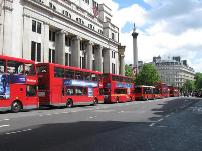 Buses line up before a signal at Trafalgar Square, London. You can see Nelson's Column standing high in the background