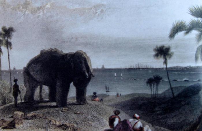Aquatint of the Stone Elephant by Thomas Daniell and William Daniell, 1786. Photo Courtesy: Elephanta by George Michell