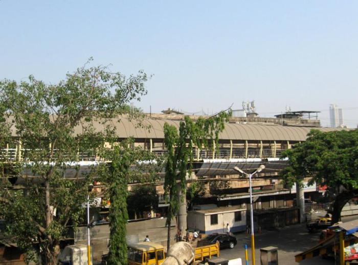 Cotton Green Skywalk