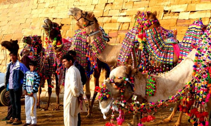 All decked up and ready for the Desert Festival, Jaisalmer