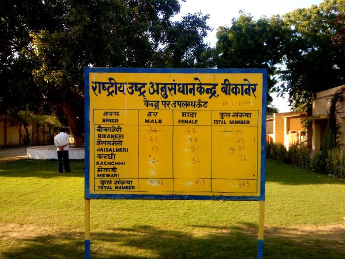 A notice board at the entrance giving information on the type of breeds and their numbers at the NRCC