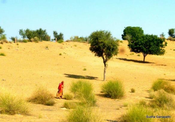 Rajasthan Trip, Bikaner, Arid Desert