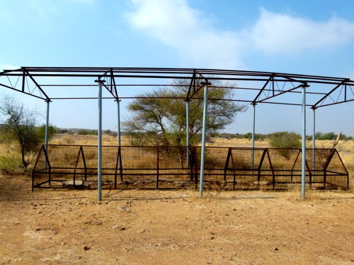 Wood Fossils, Akal, Jaisalmer, Travel, Rajasthan, Geology
