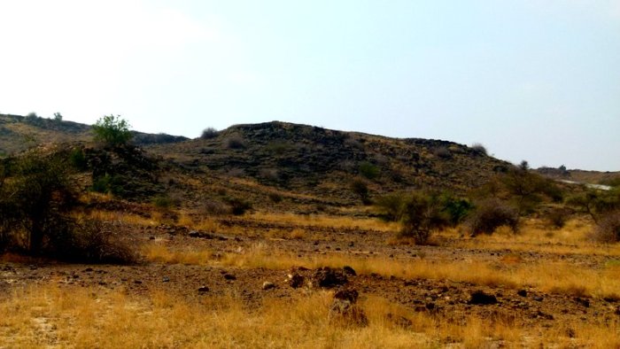 Wood Fossils, Akal, Jaisalmer, Travel, Rajasthan, Geology