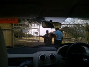 Akal Wood Fossil Park, Akal, Jaisalmer