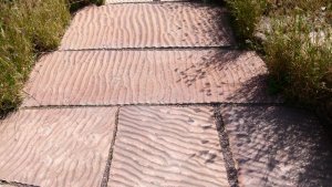 Rao Jodha Desert Park 16