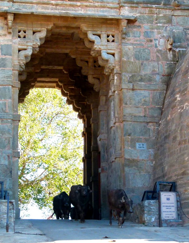 Kumbhalgarh Fort, Rajasthan, Travel, Forts of Rajasthan