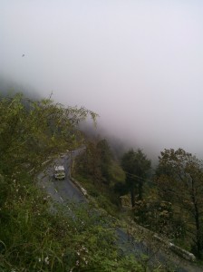 Himachal Pradesh, Fagu