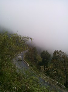 Himachal Pradesh, Fagu