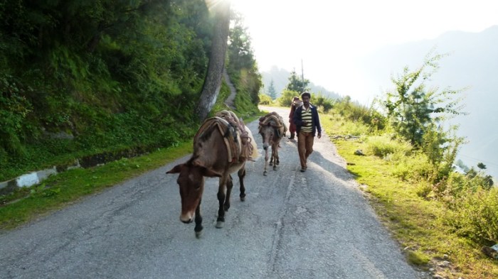 Himachal Pradesh, Sarahan