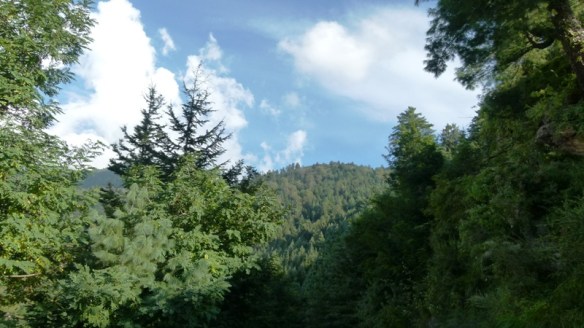 Sarahan, Himachal Pradesh