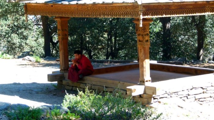 Sacred spaces, Roadside Shrines, Temples, Himachal Pradesh, Travel, Devbhoomi, Sacred Grove, Buddhist Monk