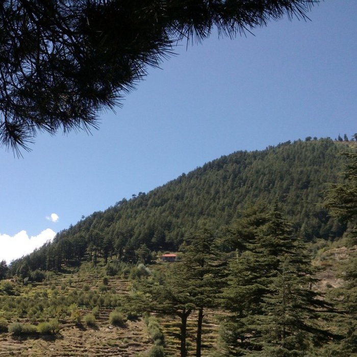Kalpa, Trek to Dalhousie's Cottage, Travel, Himachal Pradesh, Kinnaur