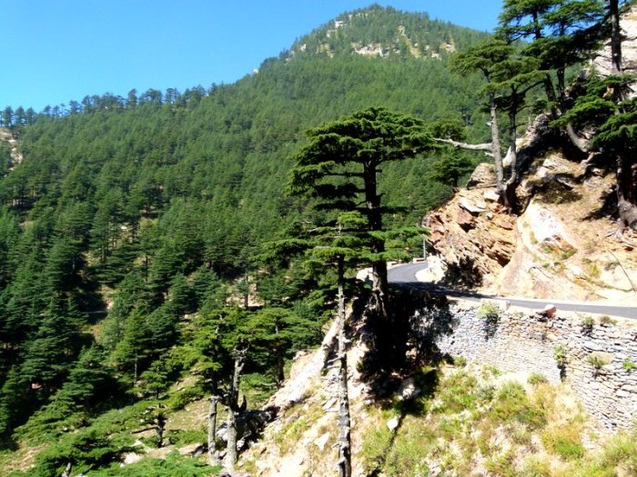 Kalpa, Trek to Dalhousie's Cottage, Travel, Himachal Pradesh, Kinnaur