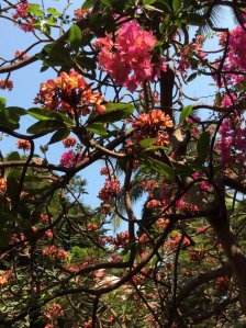 Nagrana Lane, Street Art, Graffiti Art, Bandra, Mumbai Ink Brush N Me