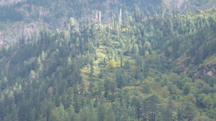 Sangla, Bad Weather, Kinnaur, Baspa Valley, Himachal Pradesh