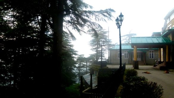 Chail, Chail Palace, Himachal Pradesh, Travel