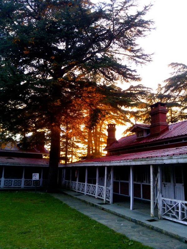 Chail, Chail Palace, Himachal Pradesh, Travel