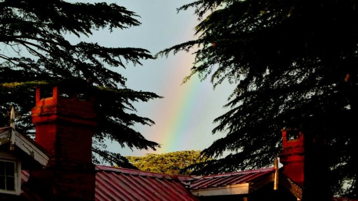 Chail, Chail Palace, Himachal Pradesh, Travel