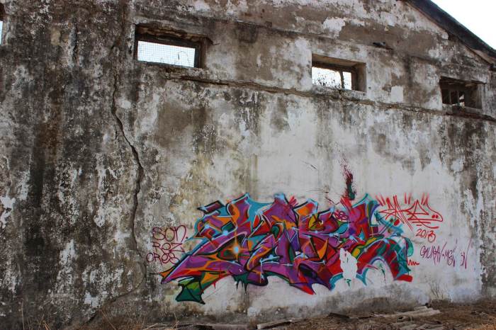 Graffiti, street art, Reay Road, Mumbai, abandoned warehouse