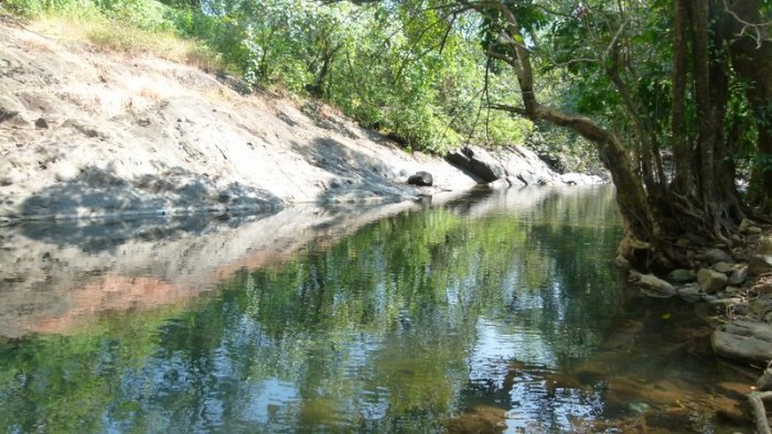 Goa, Travel, Ponda, Mahaveer Wildlife Sanctuary