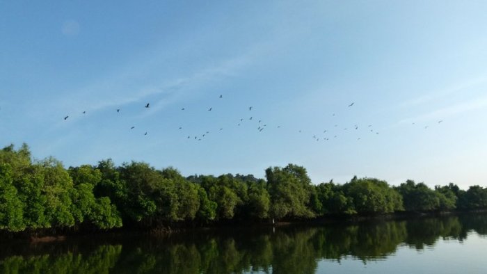 Aldona, Corjuem Fort, Noth Goa, Mapusa River, Backwater Cruise