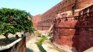 Agra Fort 21