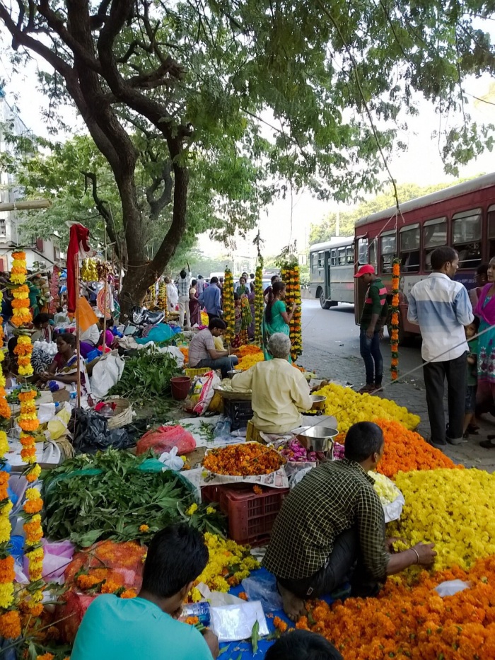 Marigold, flowers, Diwali, Nokia lumia 1020