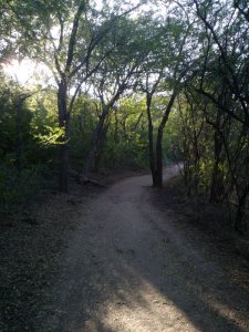 Lonar, Lonar Temple, Travel, Maharashtra, Kamalja Devi, Meteoric Crater, Alkaline Lake