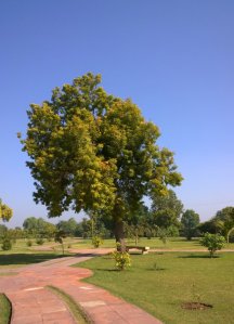 Rani ni Vav, Rani ki Vav, Queen's stepwell, UNESCO World Heritage Site, Incredible India, Gujarat, Patan