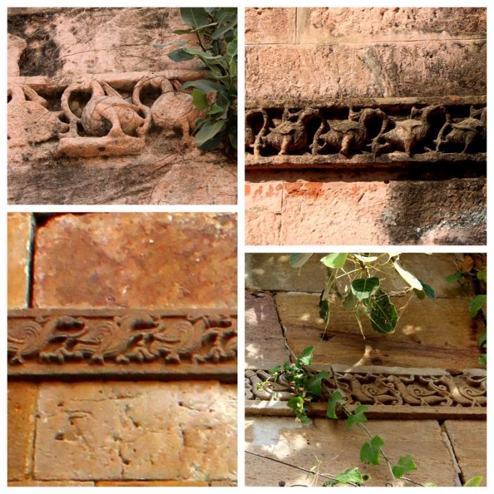 Vadnagar, Solanki Dynasty, City Gate, Gujarat, Saptarshi, birds of vadnagar