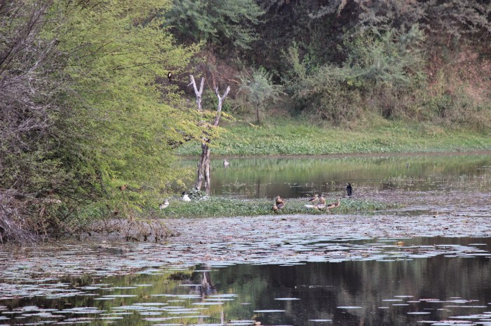 Vadnagar, Solanki Dynasty, City Gate, Gujarat, Saptarshi