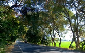 Ambaji, Road Trip, Palanput to Danta