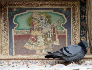 Laxmangarh, Painted Towns of Shekhawati, Fresco, Art Gallery, Painting, Heritage, Travel, Rajasthan