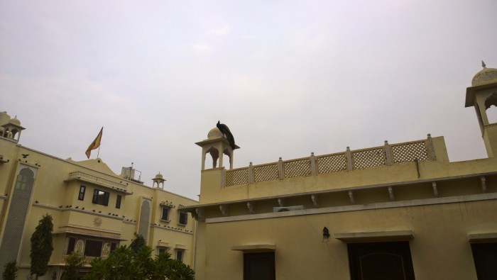 Club Mahindra, Nawalgarh, Painted Towns of Shekhawati, Fresco, Art Gallery, Painting, Heritage, Travel, Rajasthan, trip Planner