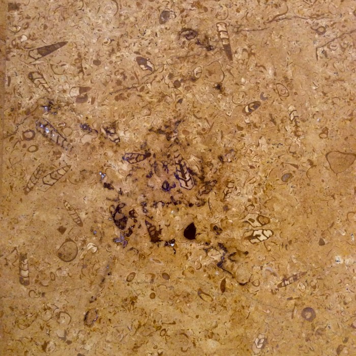 Desert Trail, Thar Desert, Suryagarh, Jaisalmer, Geology, Travel, Rajasthan, Silk Route