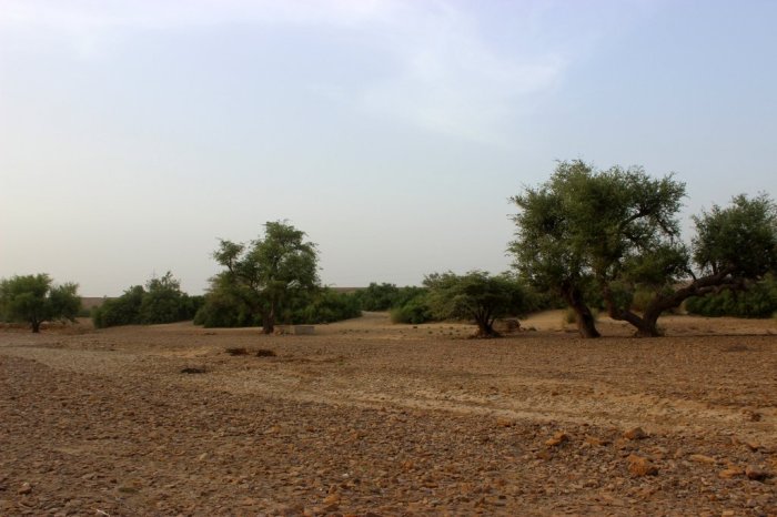 Desert Trail, Thar Desert, Suryagarh, Jaisalmer, Geology, Travel, Rajasthan, Silk Route