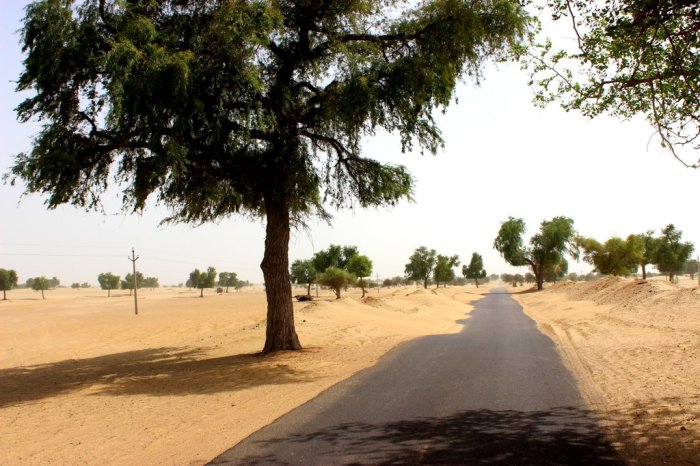 Desert Trail, Thar Desert, Suryagarh, Jaisalmer, Geology, Travel, Rajasthan, Silk Route