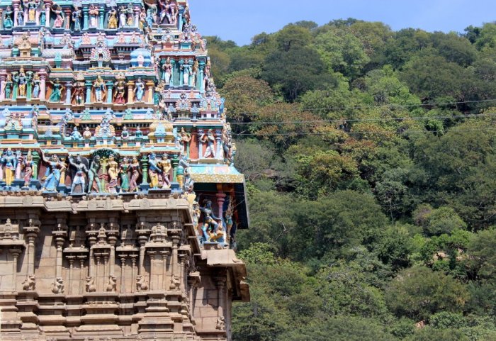 Madural, Alagar Kovil, Kallazhagar, Vishnu Temple, Vaishnava tradition, Tamil Nadu, Temples of Tamil Nadu, Travel