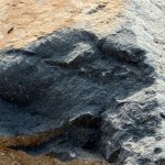 Travel, Kolvi, Rajasthan State Highway no. 19 A, Columna Basalts, Columnar jointing, Travelling Geologists, Igneous rock, Geological Structure, Igneous structure. Deccan Basalts, Magma Chamber