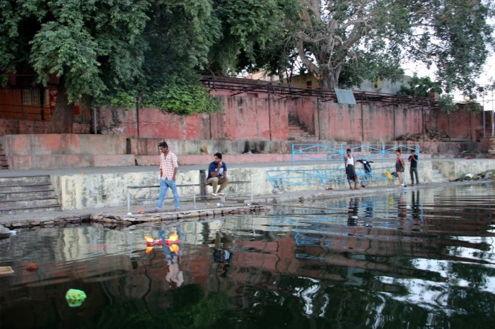 Travel, Rajasthan, Chambal River Safari, Ravinder Singh Tomar, Kota, Chambal Safari, Vindhyans, Bird watching