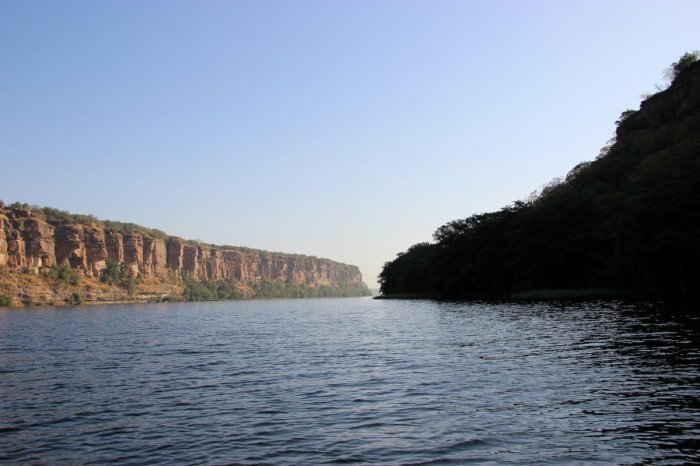 Travel, Rajasthan, Chambal River Safari, Ravinder Singh Tomar, Kota, Chambal Safari, Vindhyans, Bird watching