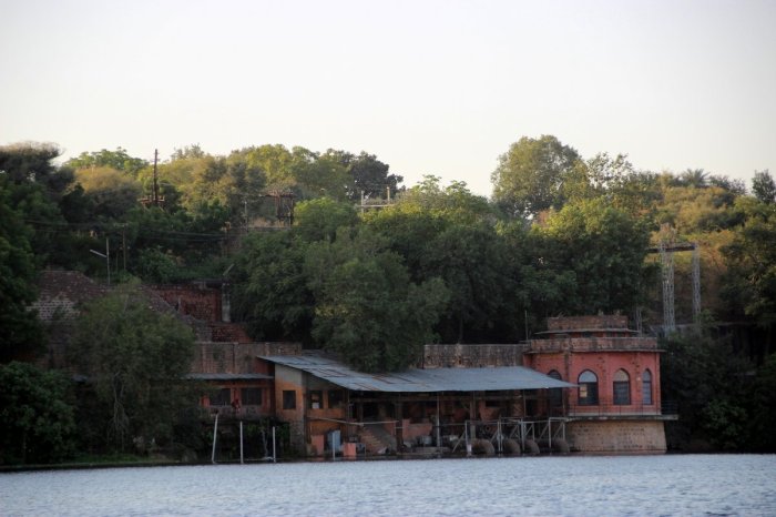 Travel, Rajasthan, Chambal River Safari, Ravinder Singh Tomar, Kota, Chambal Safari, Vindhyans, Bird watching