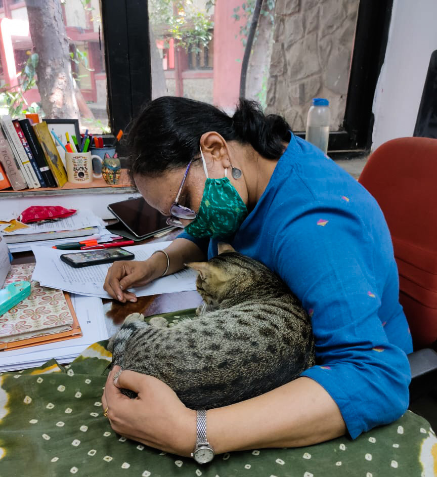 Guddu Billa, Cat Cuddles, Pet Therapy, Stress Buster